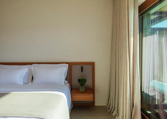 Petrablu Mykonos Фтелия